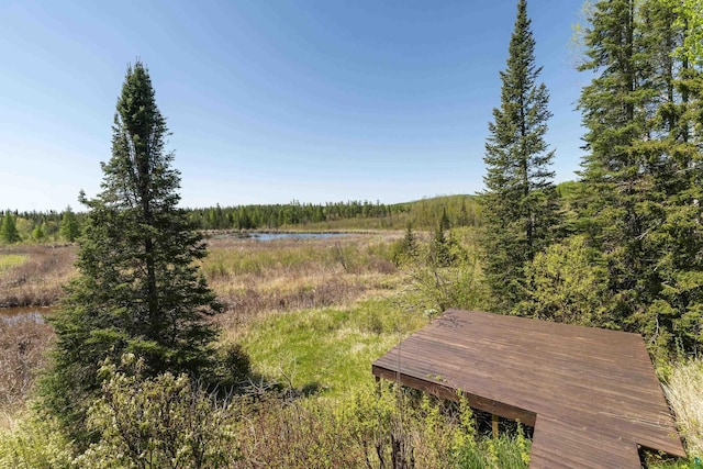 view of yard featuring a view of trees and a water view