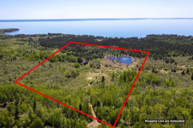drone / aerial view featuring a forest view and a water view