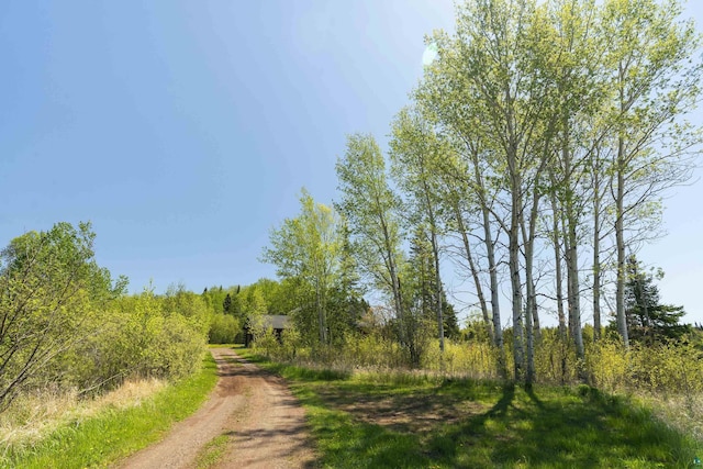 view of road with dirt driveway