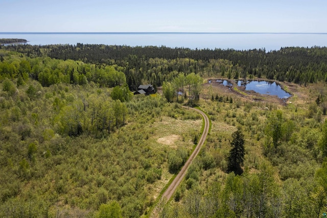 bird's eye view featuring a forest view and a water view