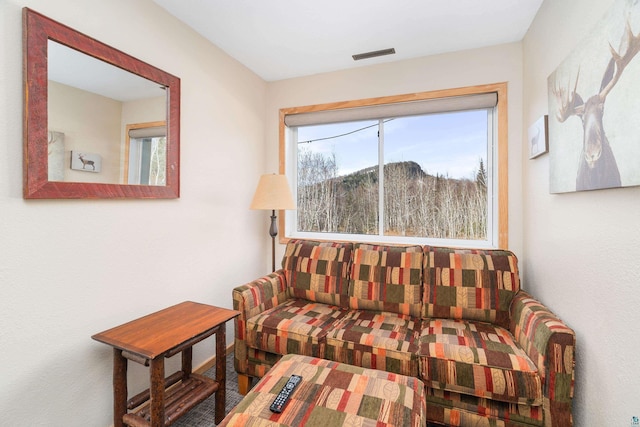 living area featuring visible vents