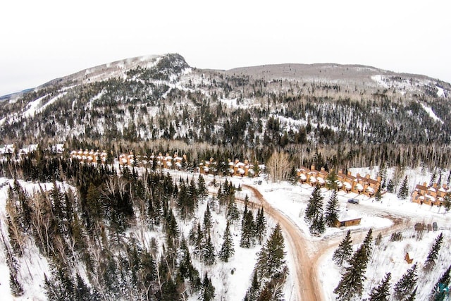 snowy aerial view featuring a mountain view