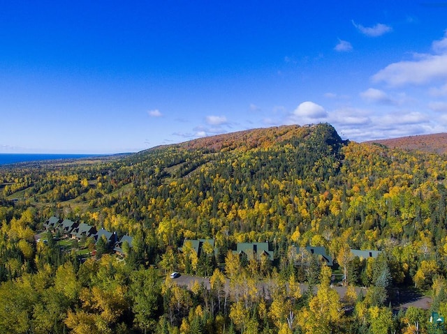 view of mountain feature featuring a wooded view