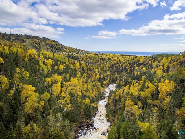 drone / aerial view with a view of trees