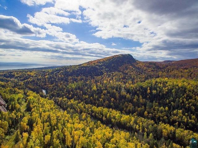 view of mountain feature featuring a wooded view