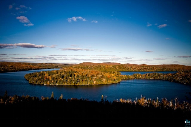 water view with a wooded view