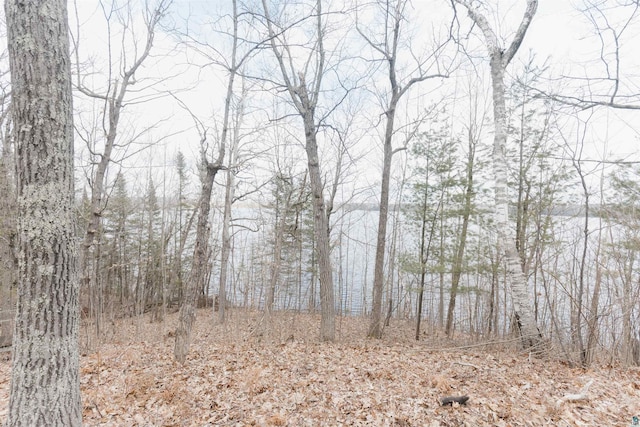 view of local wilderness featuring a view of trees