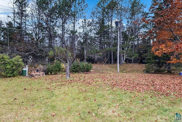 64 Hays Crk, Silver Bay, MN 55614 - view of yard