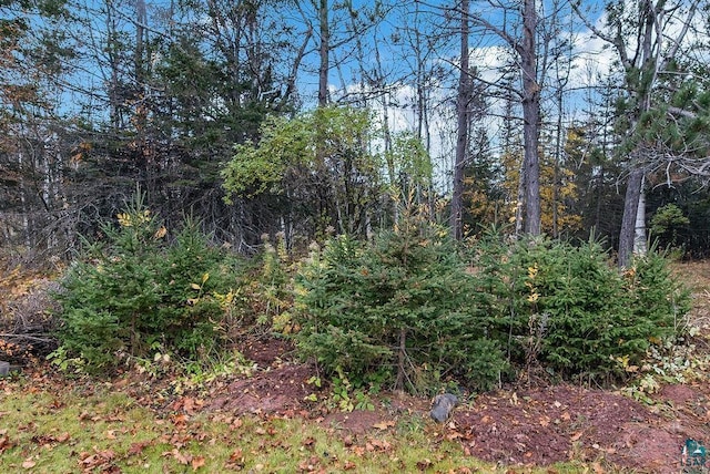 64 Hays Crk, Silver Bay, MN 55614 - view of nature featuring a forest view