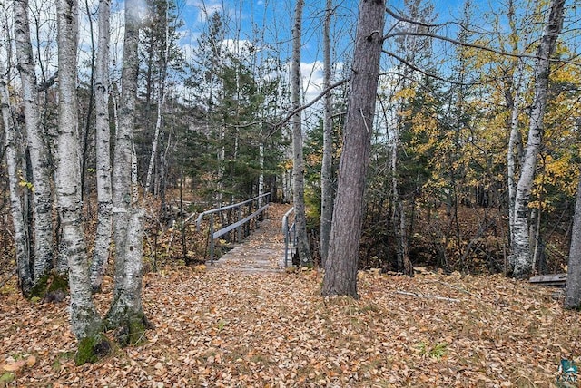 64 Hays Crk, Silver Bay, MN 55614 - surrounding community with a view of trees