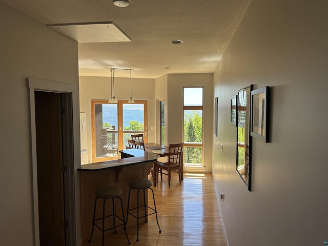 interior space featuring baseboards and light wood-style floors