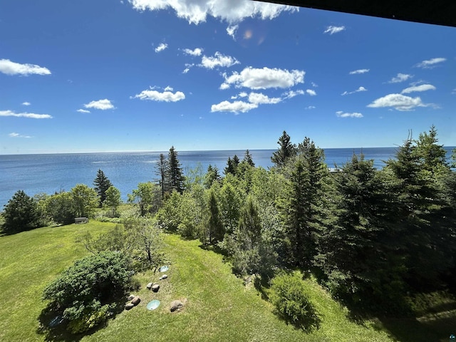 property view of water