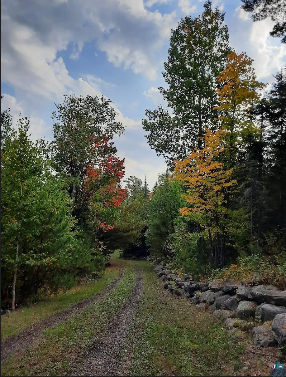 view of street featuring a view of trees