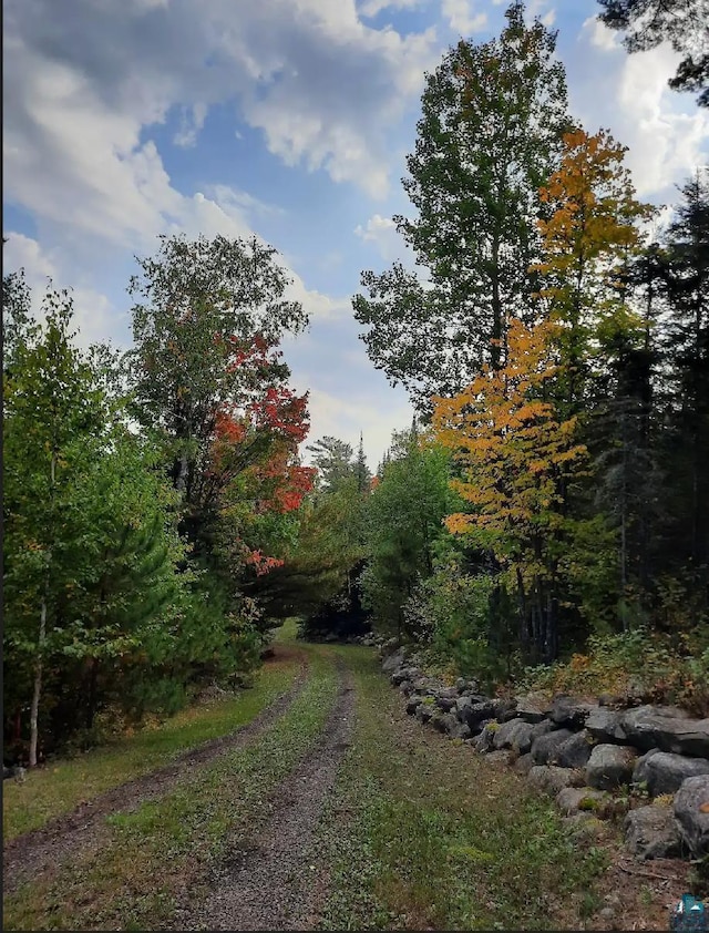 view of street featuring a view of trees
