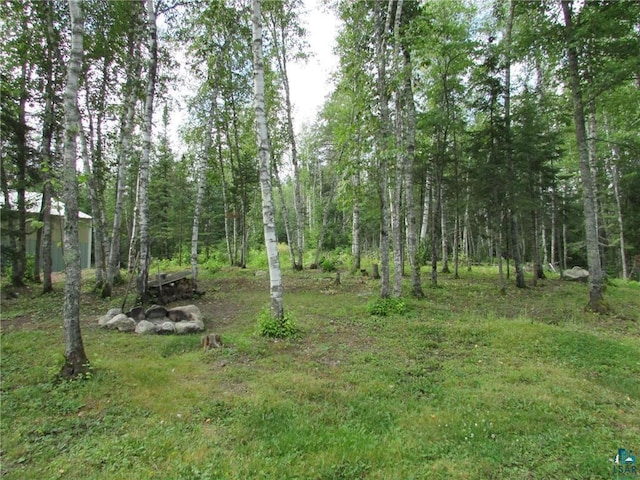 view of local wilderness with a view of trees