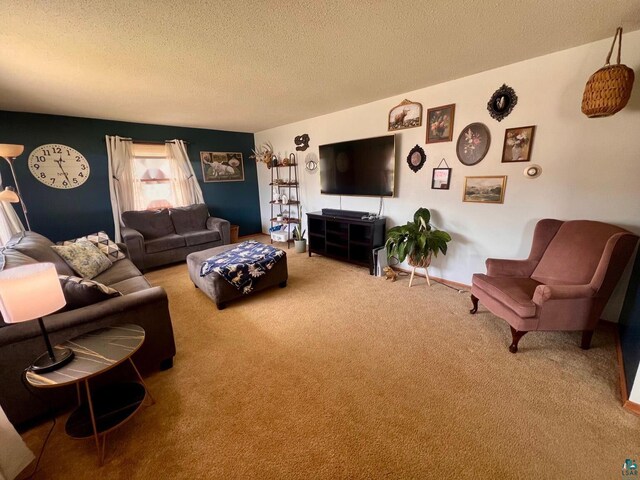 carpeted living room with a textured ceiling