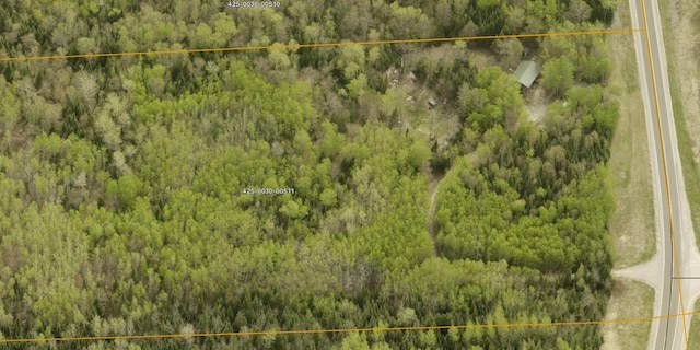 bird's eye view featuring a view of trees