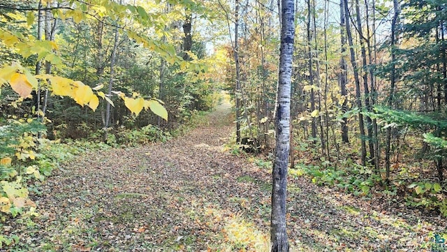 view of landscape featuring a wooded view
