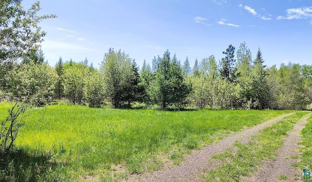 80048 Waters Of Vermilion Rd, Tower, MN 55790