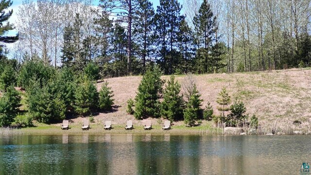 80048 Waters Of Vermilion Rd, Tower, MN 55790