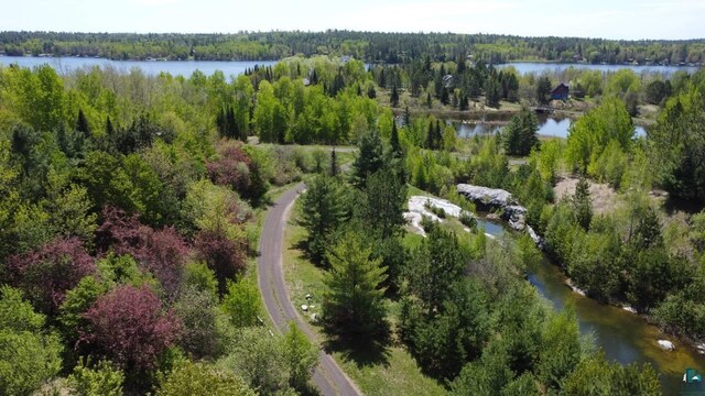 80048 Waters Of Vermilion Rd, Tower, MN 55790