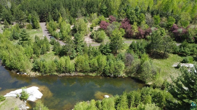 80048 Waters Of Vermilion Rd, Tower, MN 55790
