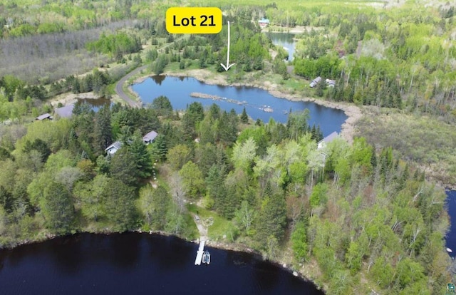 80048 Waters Of Vermilion Rd, Tower, MN 55790
