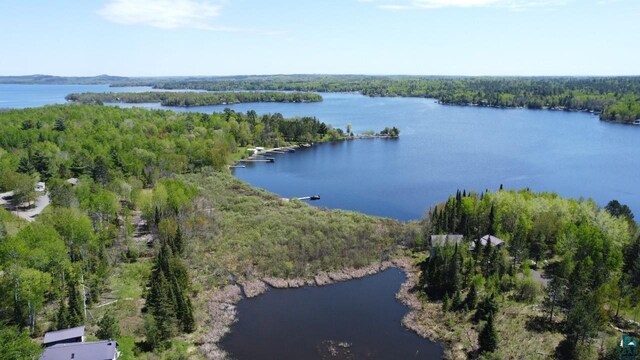 80048 Waters Of Vermilion Rd, Tower, MN 55790