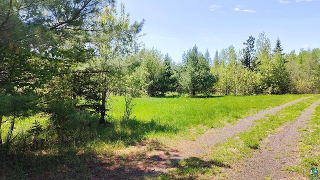 80048 Waters Of Vermilion Rd, Tower, MN 55790