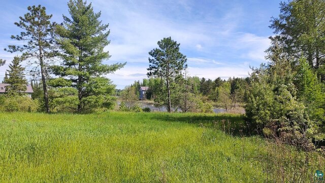 80048 Waters Of Vermilion Rd, Tower, MN 55790