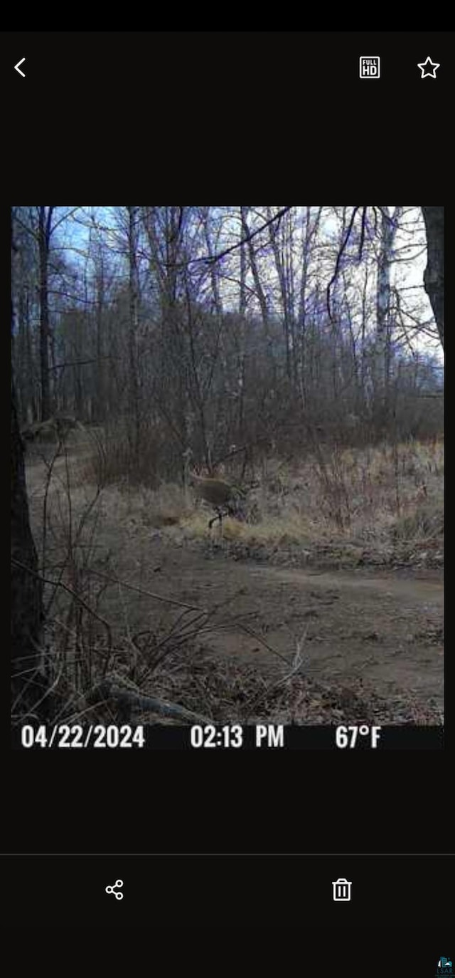 1863 W Chub Lake Rd, Carlton, MN 55718