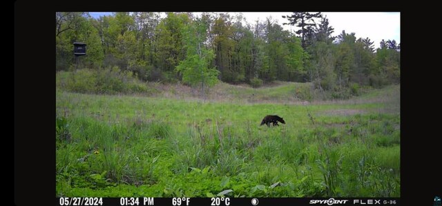 1863 W Chub Lake Rd, Carlton, MN 55718