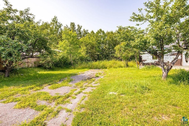 40 Nelson Dr, Silver Bay, MN 55614 - view of yard