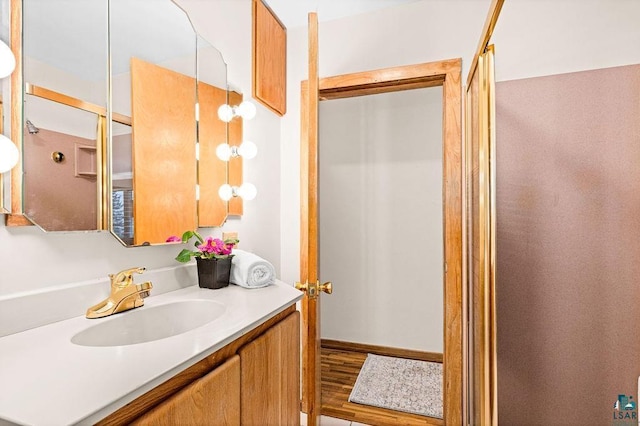 bathroom with wood finished floors and vanity