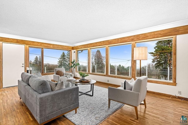 living area featuring crown molding, baseboards, light wood-type flooring, and a textured ceiling