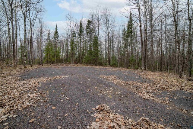 9917 S County Rd E, Bennett, WI 54874
