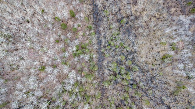 9917 S County Rd E, Bennett, WI 54874