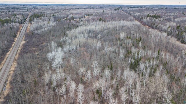 9917 S County Rd E, Bennett, WI 54874