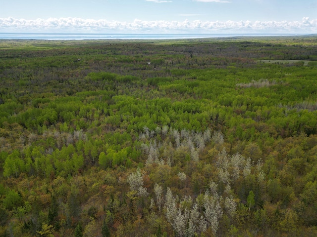 XX Olson Rd, Duluth, MN 55616
