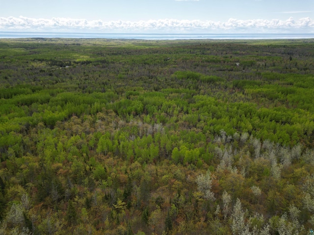 XX Olson Rd, Duluth, MN 55616