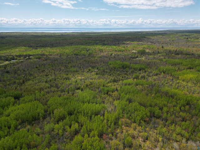 XX Olson Rd, Duluth, MN 55616