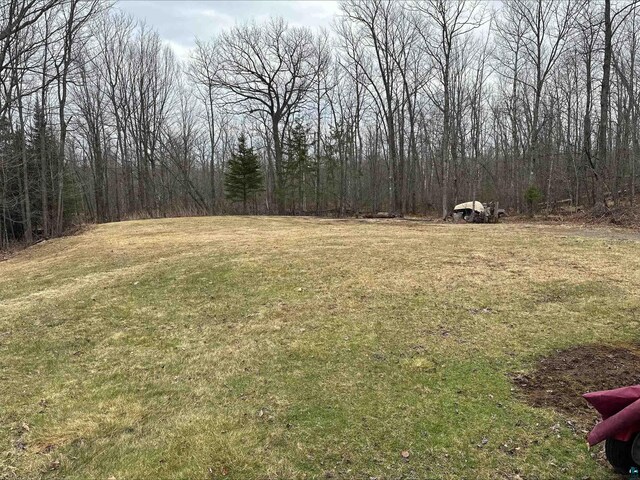 3824 Rehbein Rd, Duluth, MN 55803 - view of yard with a forest view