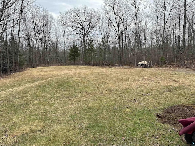 3824 Rehbein Rd, Duluth, MN 55803 - view of yard with a forest view