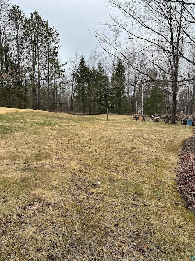 3824 Rehbein Rd, Duluth, MN 55803 - view of yard