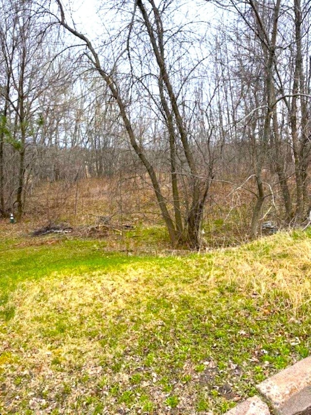 XX Restormel St, Duluth MN, 55807 land for sale