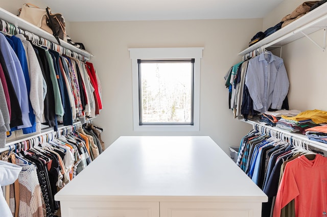 view of walk in closet