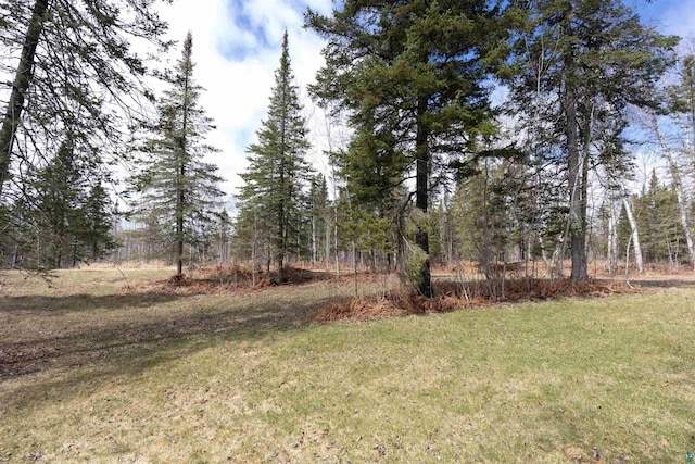 view of yard with a forest view