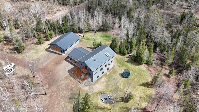 drone / aerial view