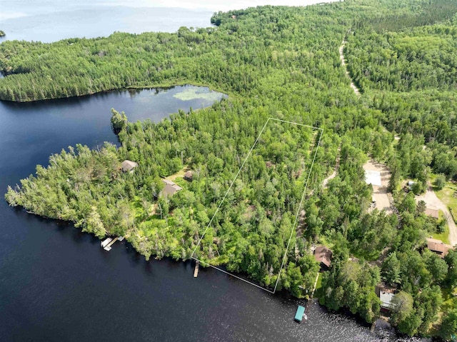 drone / aerial view with a water view and a forest view