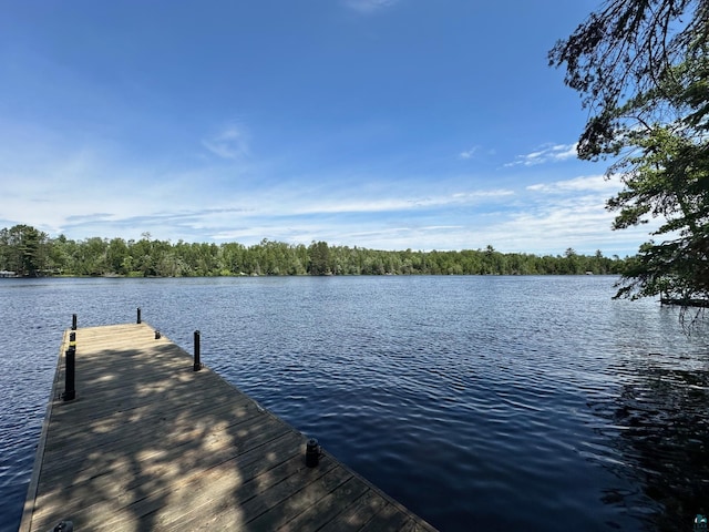 dock area featuring a water view and a view of trees